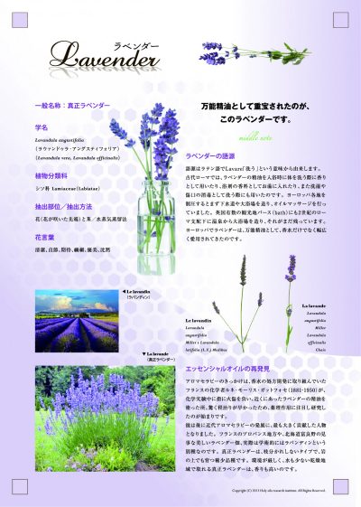 one page example of essential wellness japanese writting with Lavender written in the upper left corner and several photos of the lavender plant and field on the page