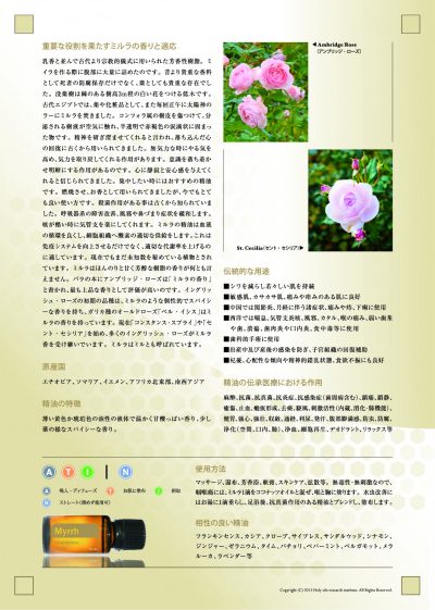 one page example of essential wellness japanese writting with two photos of Myrrh in the upper right corner and an essential oils bottle of Myrrh in the lower left corner